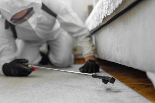 Professional Ant Control technician working in New Athens, IL