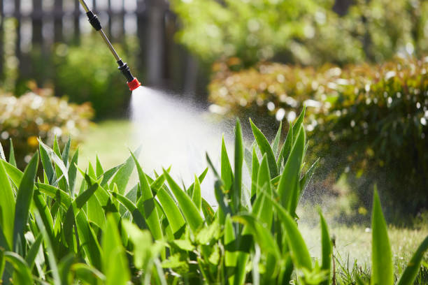 24/7 Emergency Ant Control experts in New Athens, IL