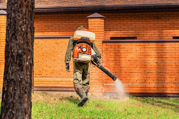 Trusted Ant Control service in New Athens, IL - Nex Pest Control
